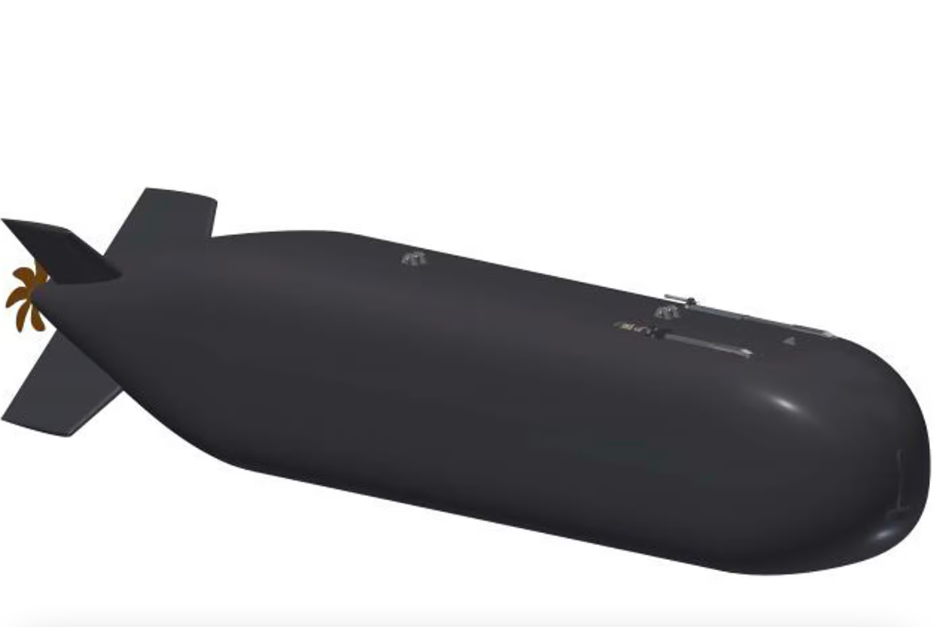 Британские ВМС покупают самую большую в Европе подводную лодку без экипажа  вот как она выглядит